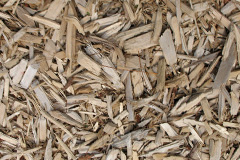 biomass boilers Kinbeachie